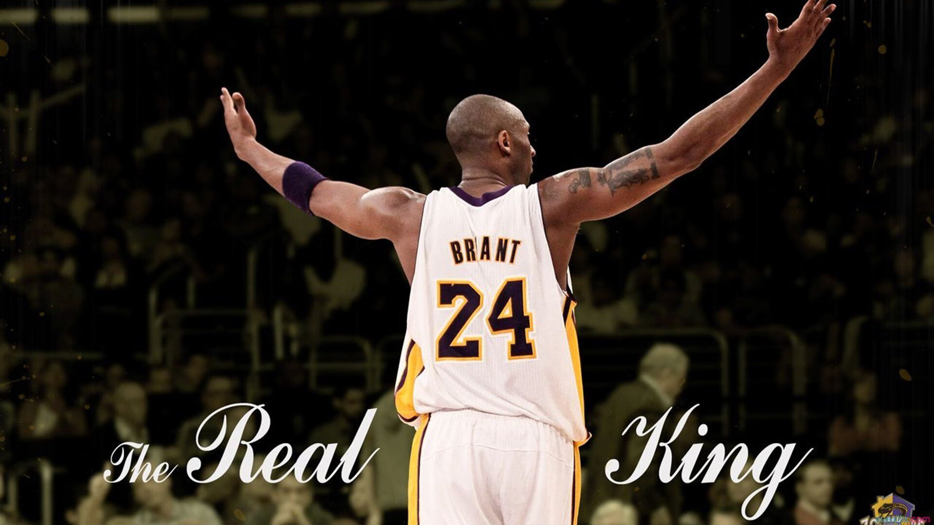 特色篮球训练课程迎合多元化需求，特色篮球训练课程迎合多元化需求是什么